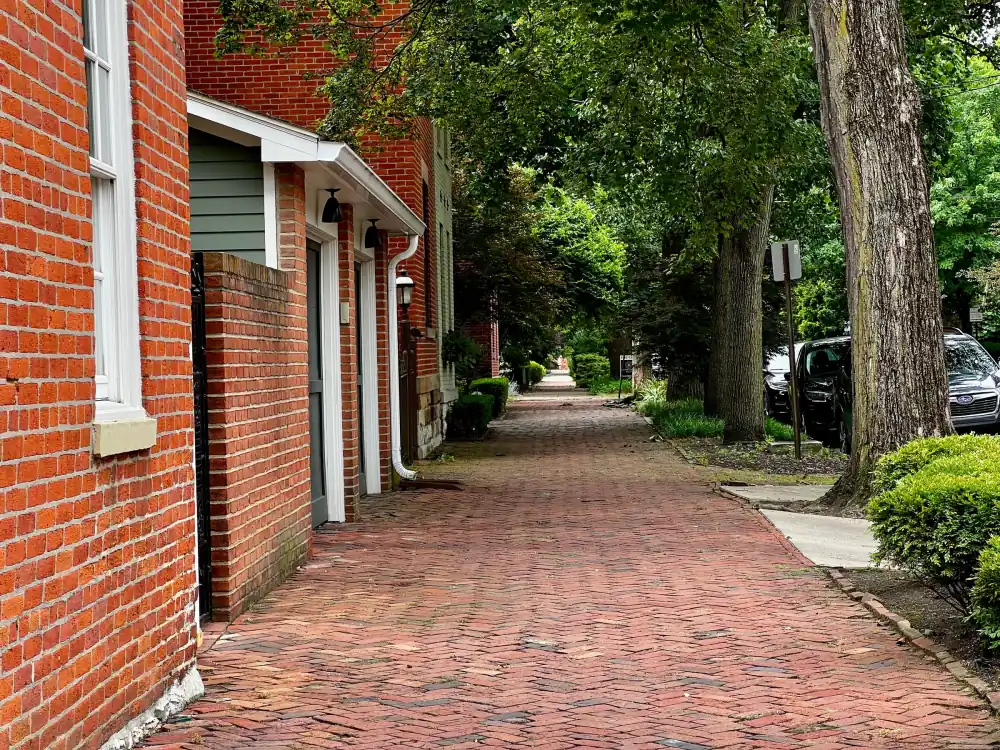 Brick-paved sidewalk shaded by mature trees beside a row of red brick homes on a quiet city block